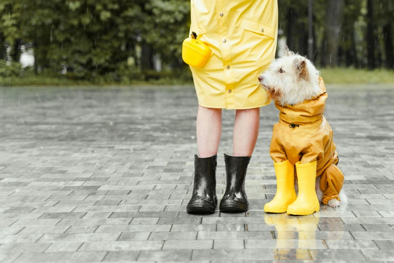 a woman standing next to a small dog wearing rain coats