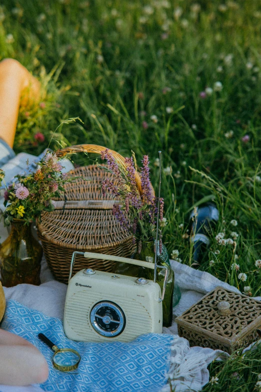 there is a picnic, toaster and wine bottle on a blanket in the field