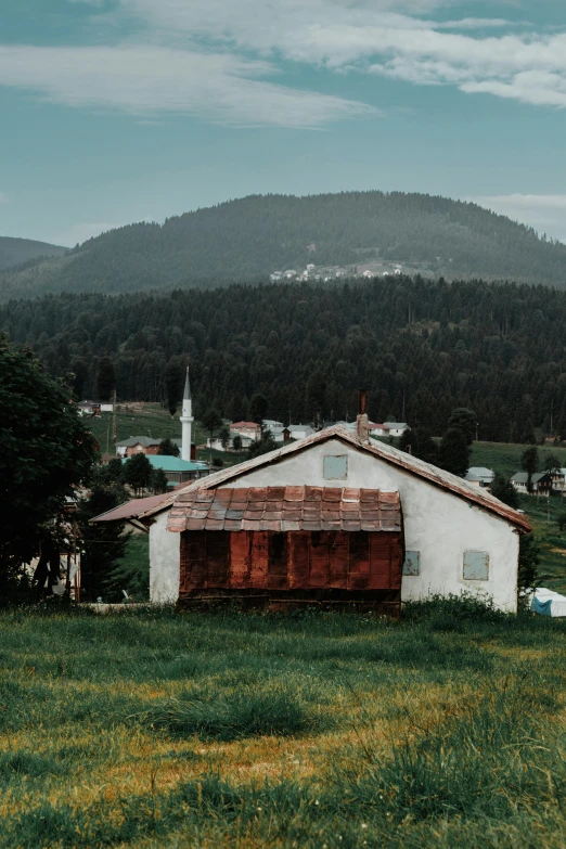 the roof of a small building with a mountain in the background