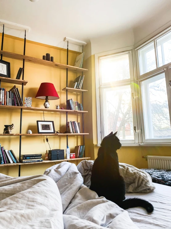 a cat sitting on top of a bed next to a book shelf