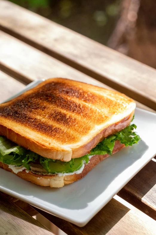 a close up of a sandwich on a plate