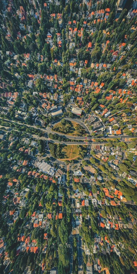 a very high rise view of a forest filled with houses