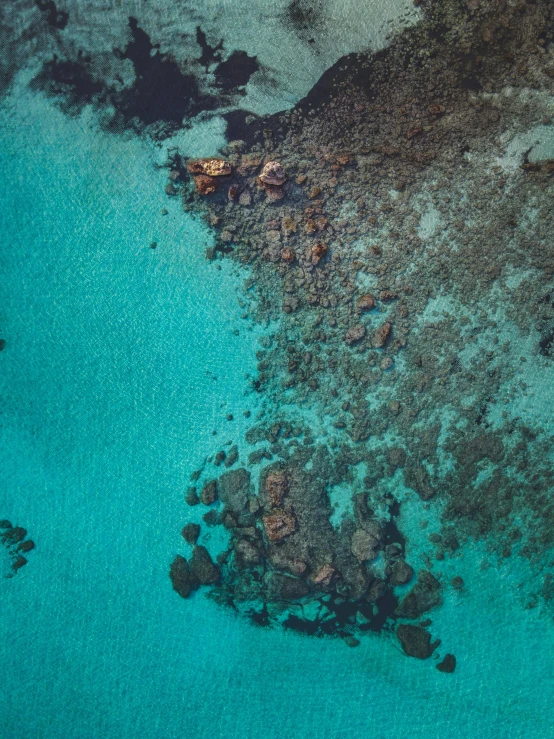 the water is very blue and is surrounded by brown, green vegetation