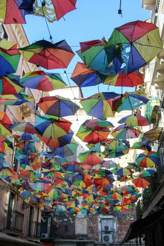 multiple multi - colored umbrellas are suspended from the ceiling