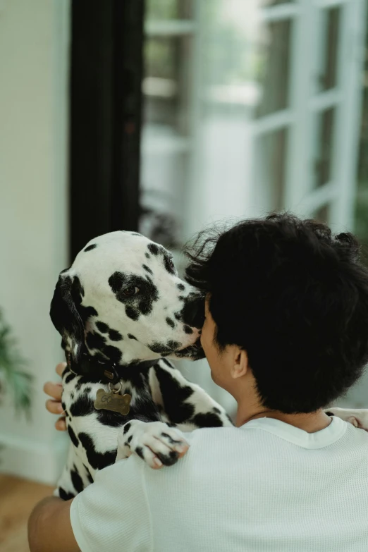 a woman holding a dalmatian puppy in her arms