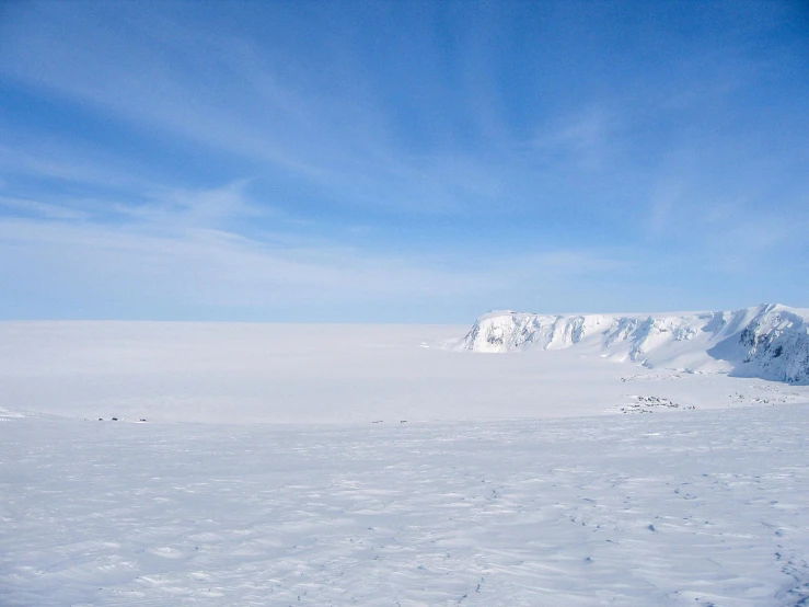 a couple of people on skis in the snow