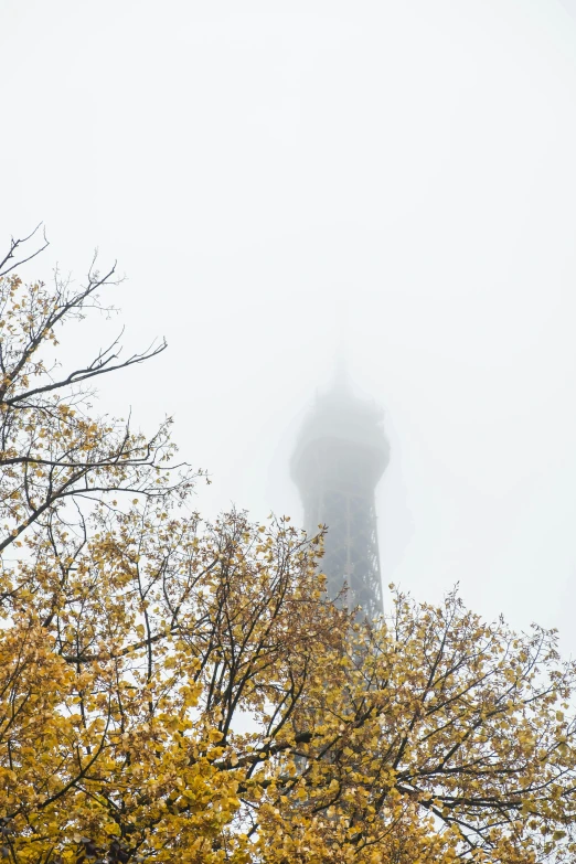 a large tower sits high above trees in the mist