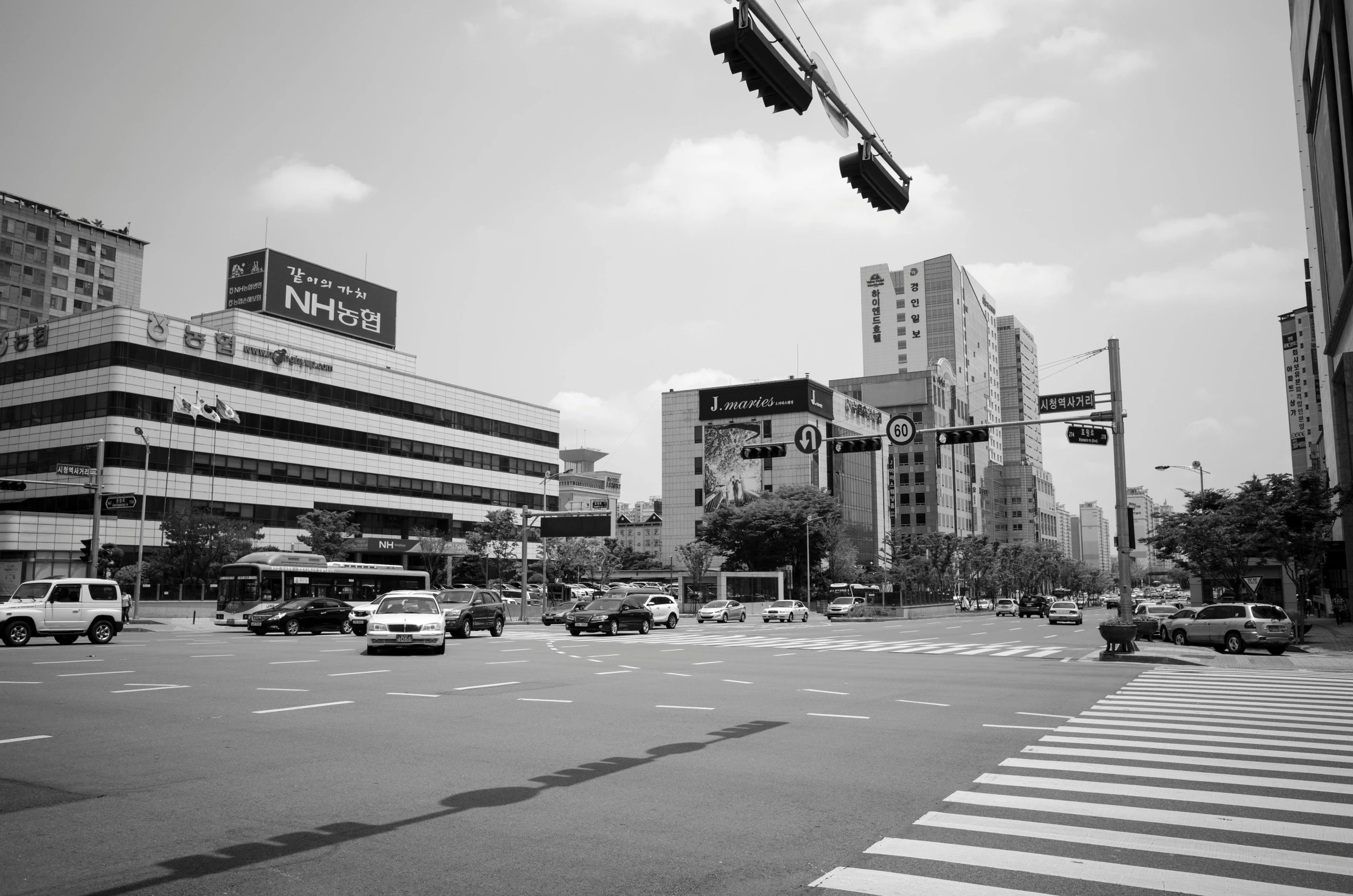 this is an image of a traffic light