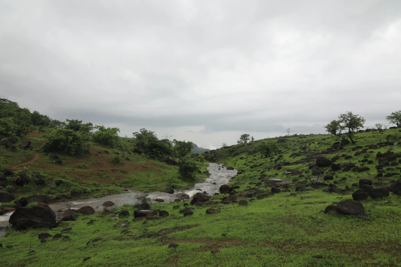 a view of a grassy field with water, rocks and trees
