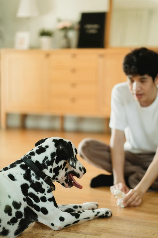 the boy is playing with the toy dog on the floor