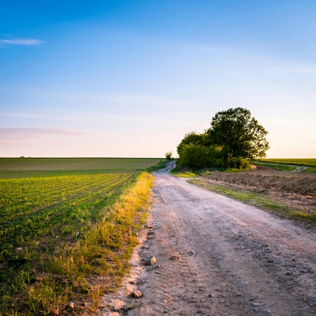 a road that is next to an empty field