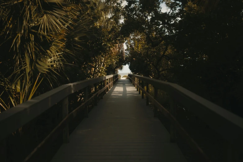 there is a bridge that is going down the path to the water