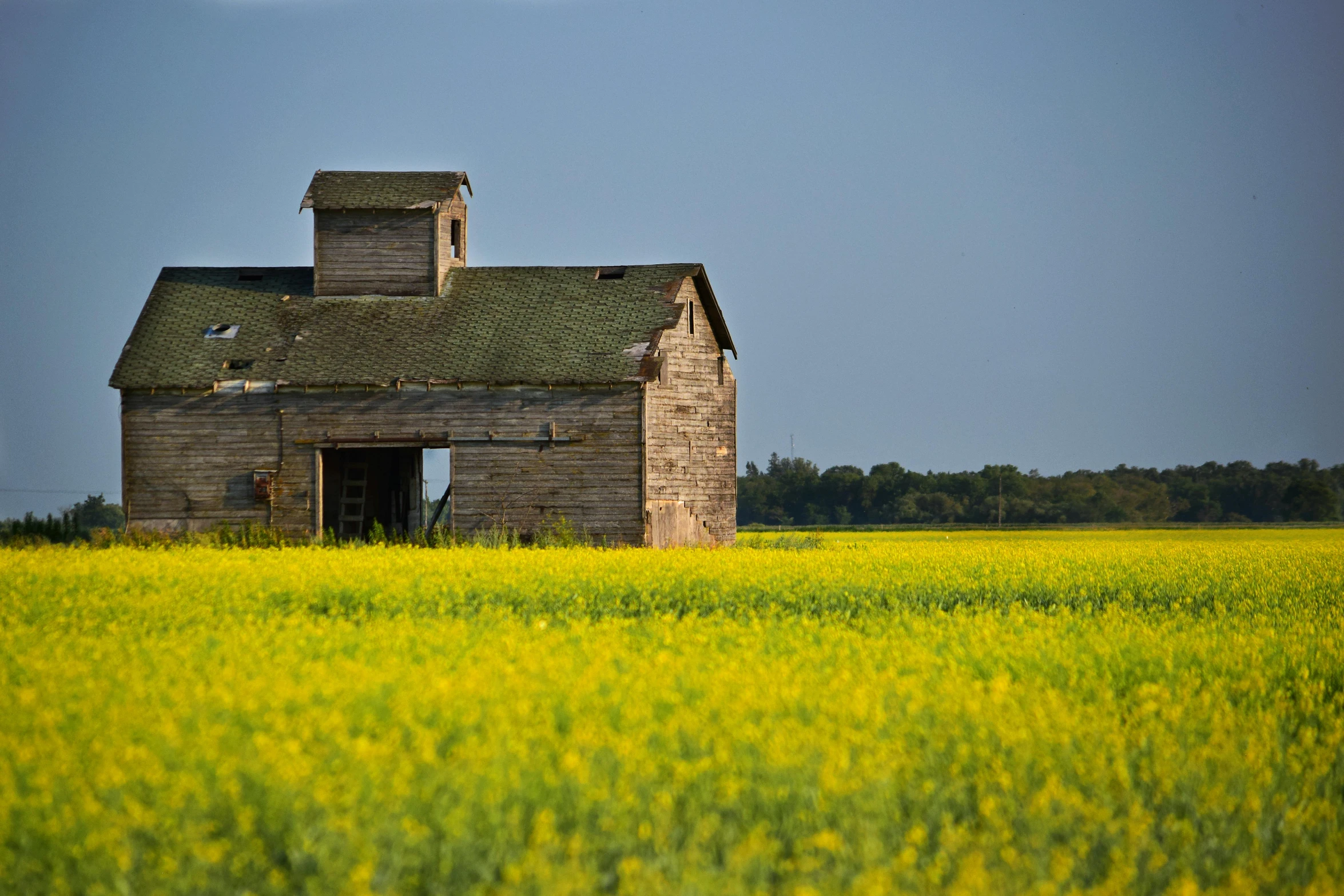 an old farm house sitting in a field