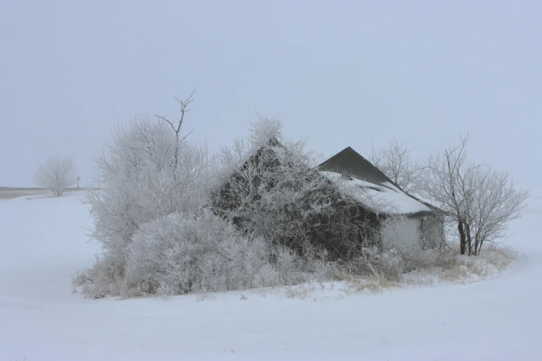 an abandoned house in the snow on a snowy day