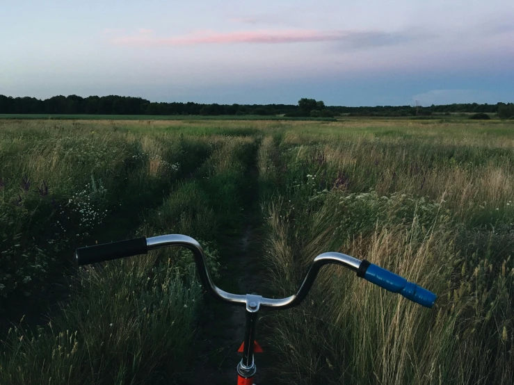 an image of a bike on a dirt trail