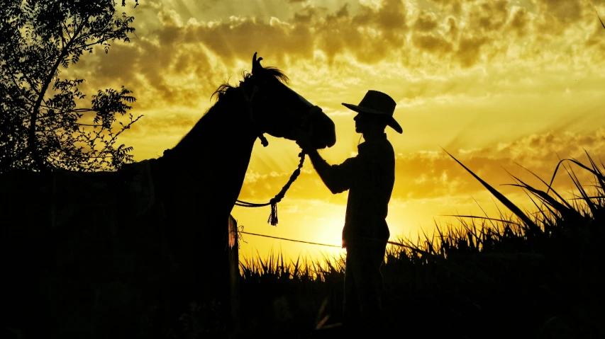 a man holding a sword in his hands next to a horse