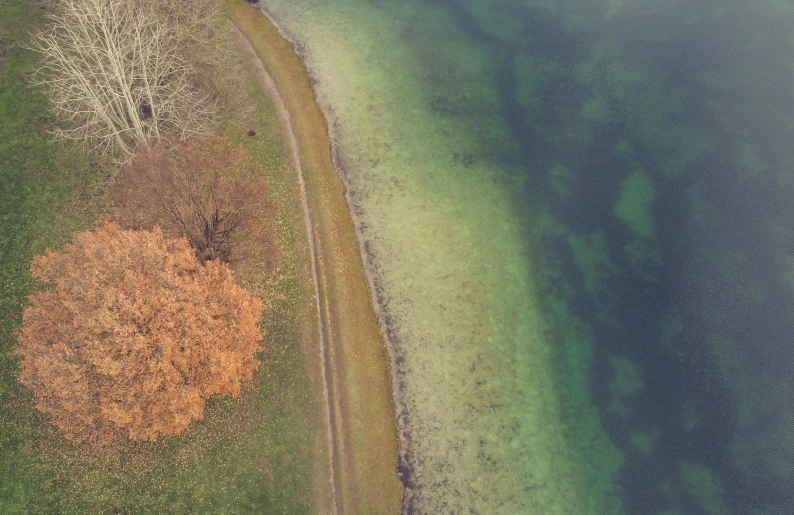 the water is green as it is surrounded by grass