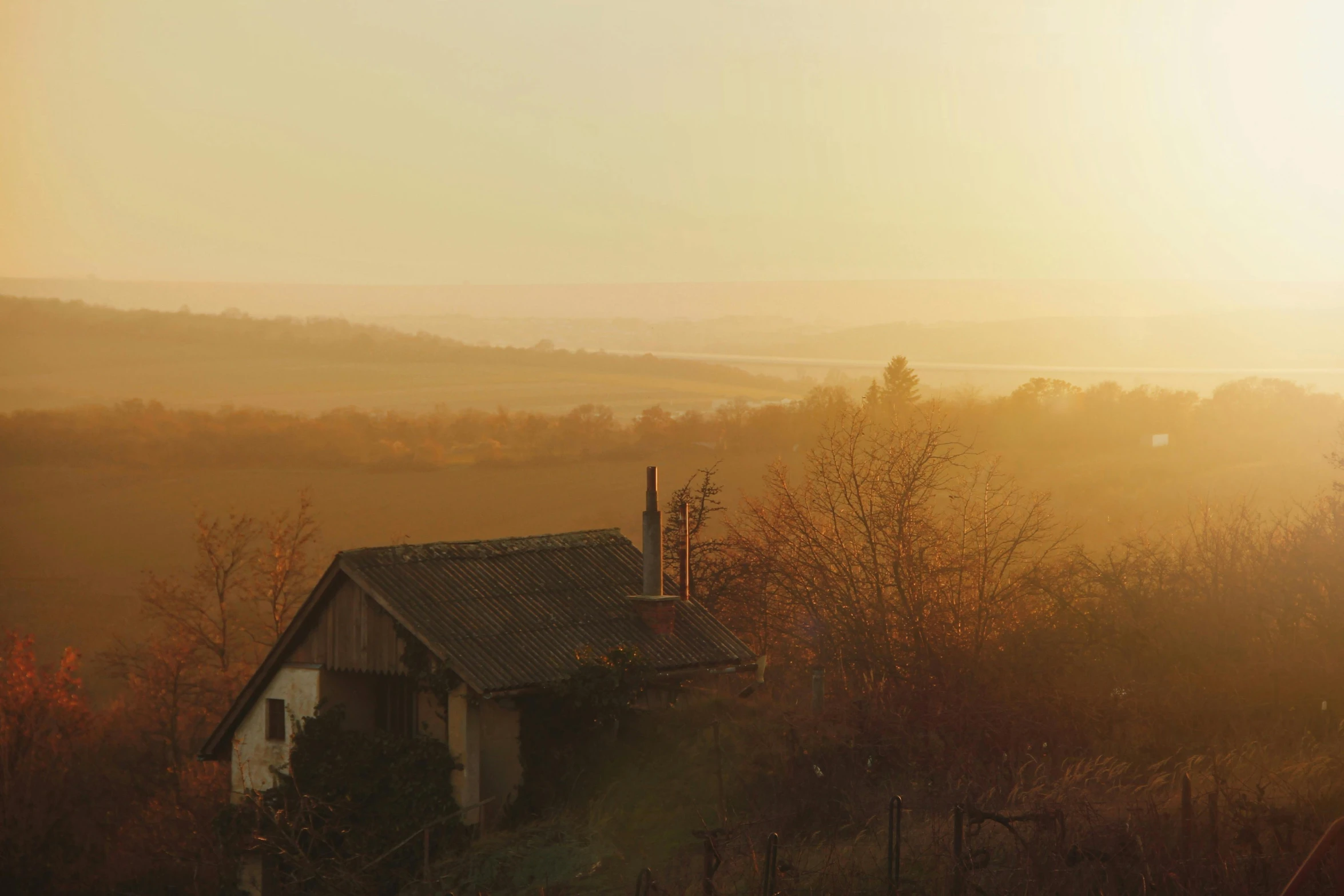 small house in the middle of trees with sunlight coming on the ground