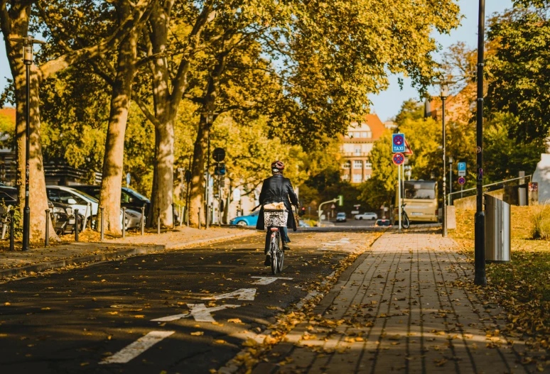 a person rides their bike on a quiet street