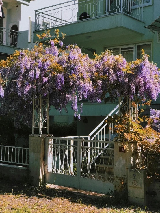 a building that has a porch and flowers growing on it