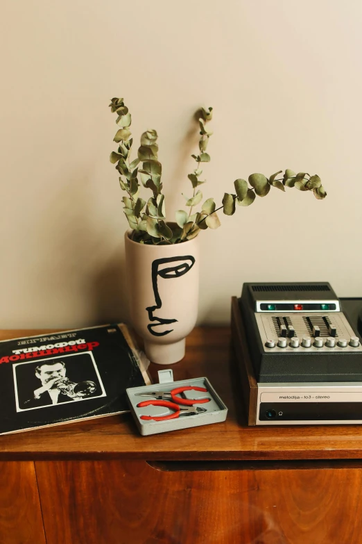 a plant sitting on top of a wooden dresser