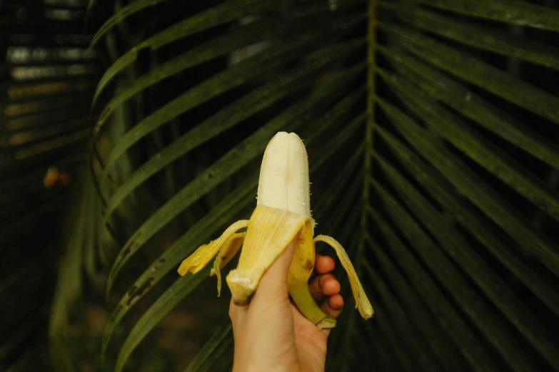 a person holding a banana next to a leaf