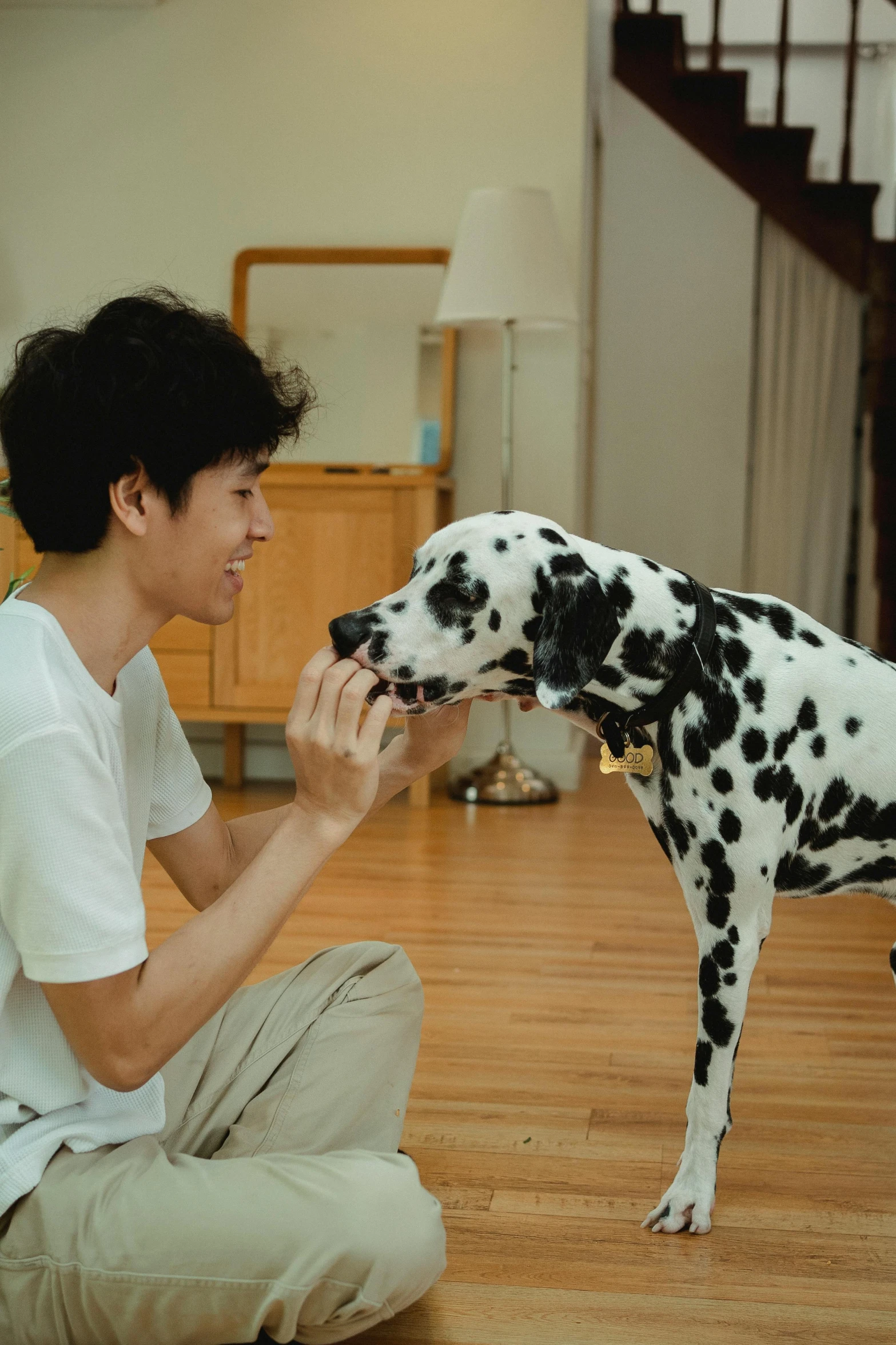 a man holding the paw of a dalmation dog