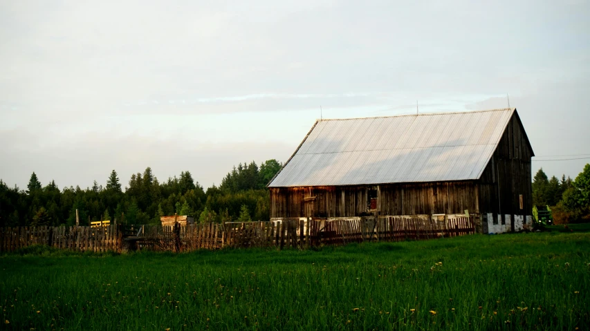 the farm building is surrounded by tall grass