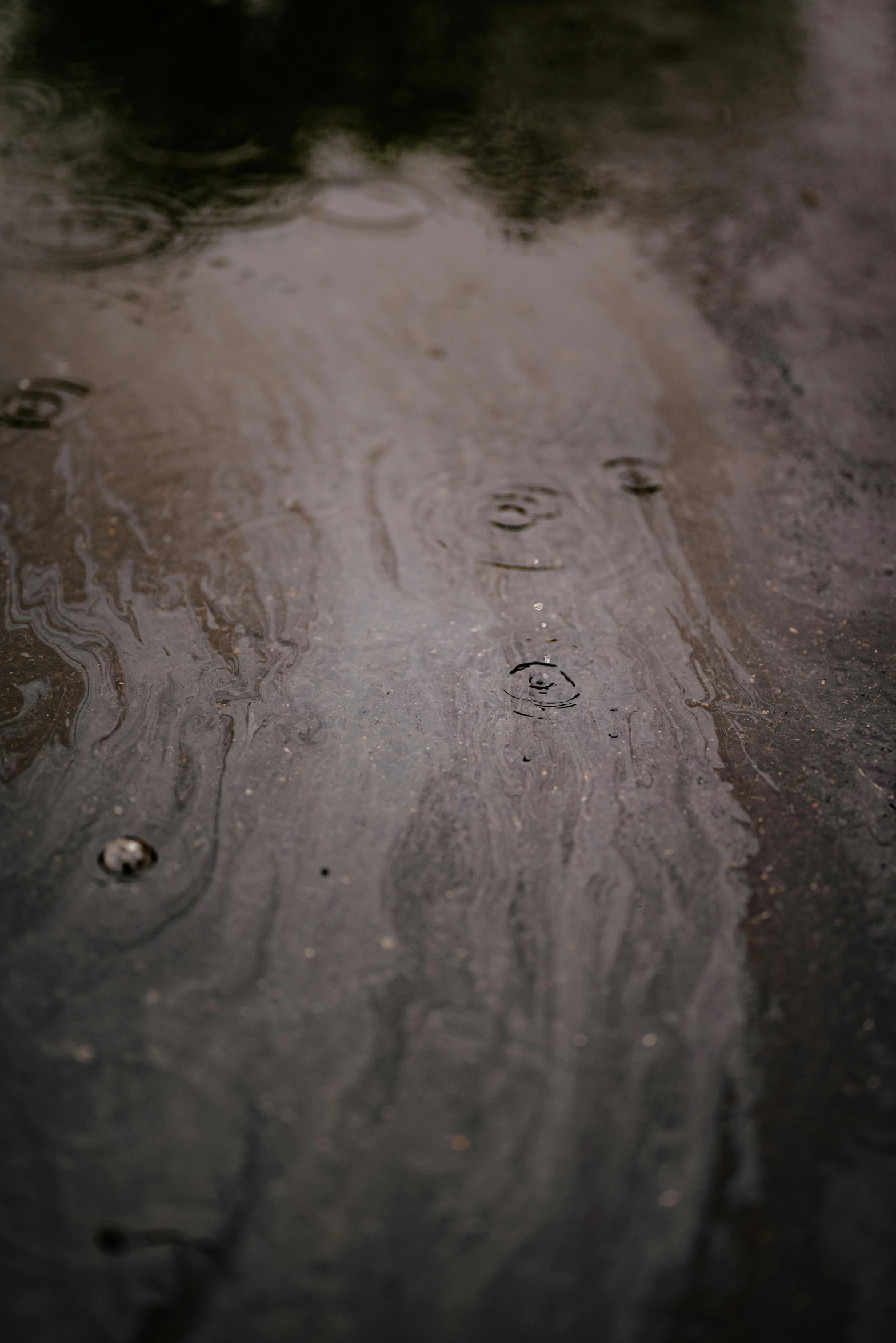 a po with rain drops on the ground