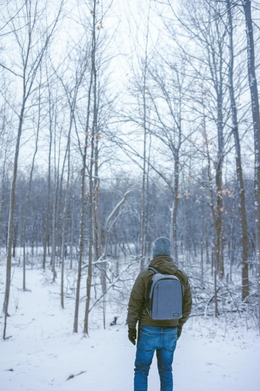 a person is snowboarding in the woods with many trees