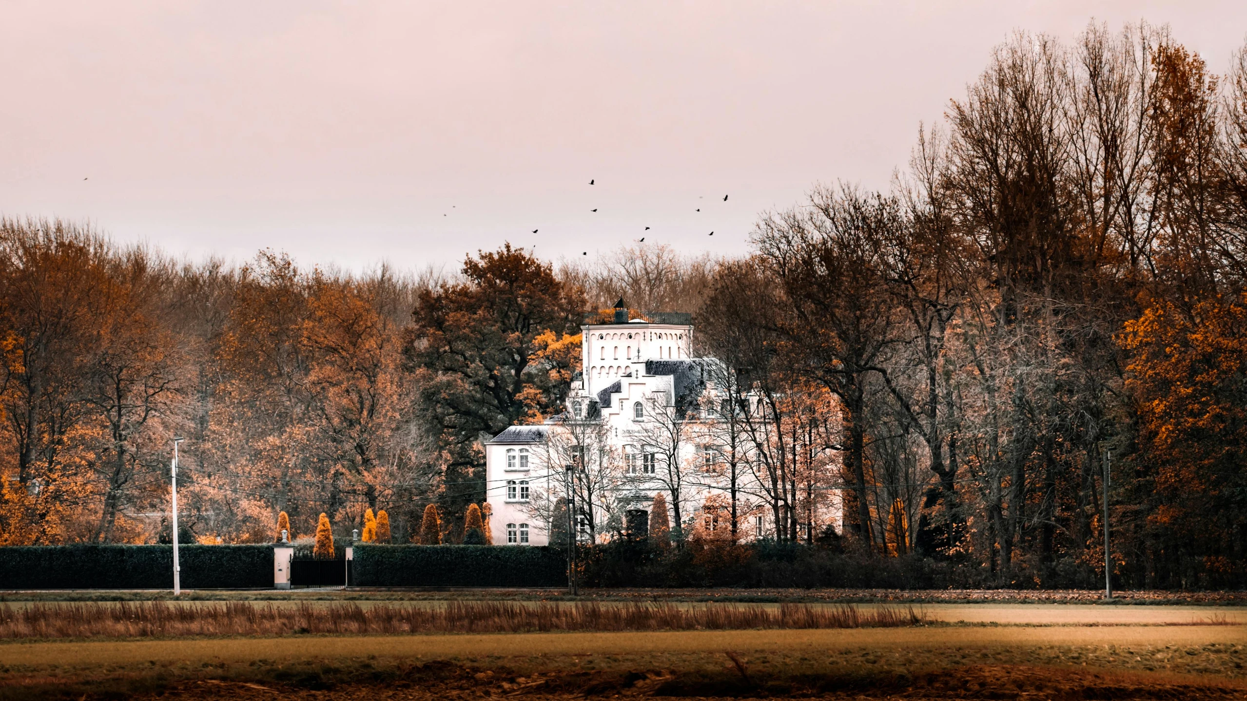 this is a pograph of a white building in the woods