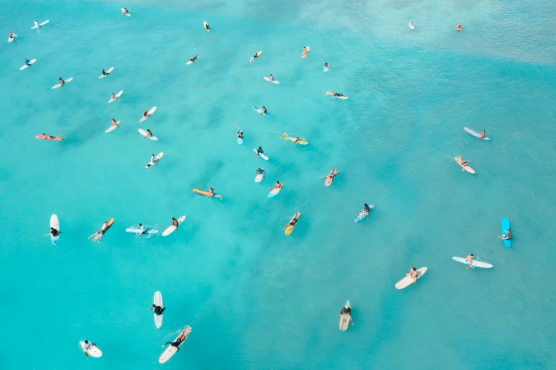 a group of people riding boards on top of the water