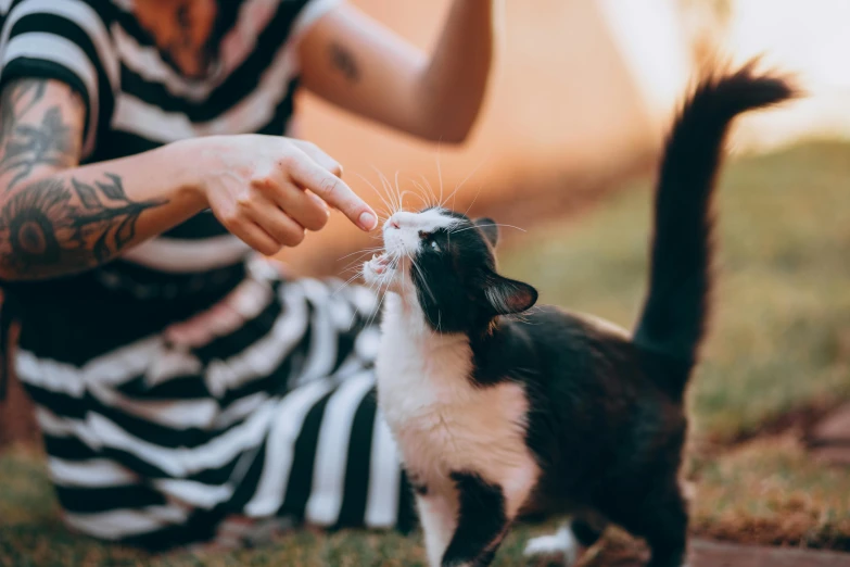 a man wearing a striped shirt is feeding a cat