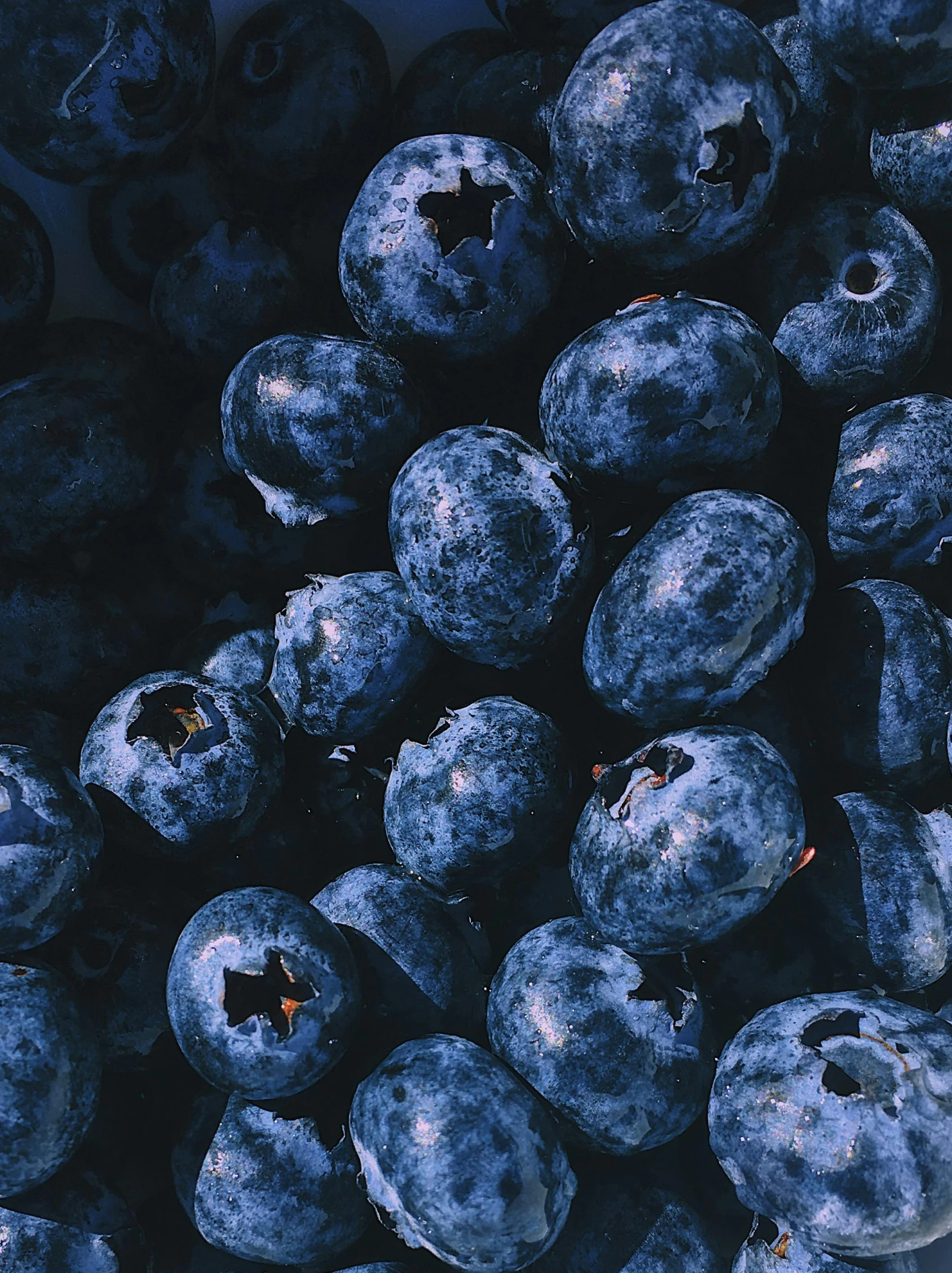 blueberries with dark brown spots and the skin peeling off