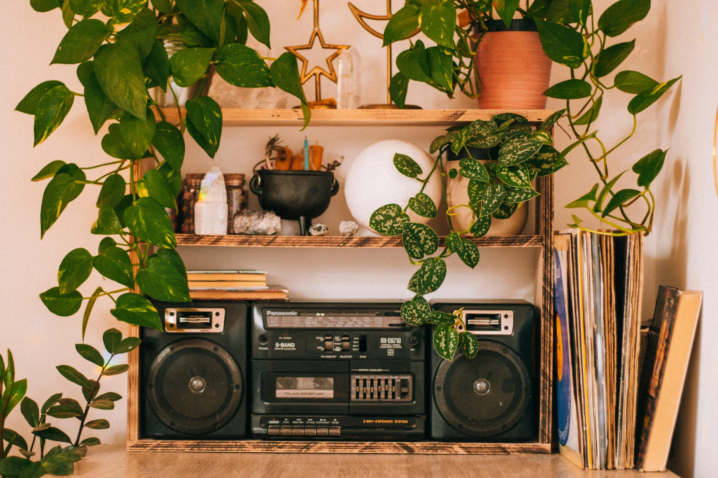 a wooden shelf with a stereo, plant, and a radio