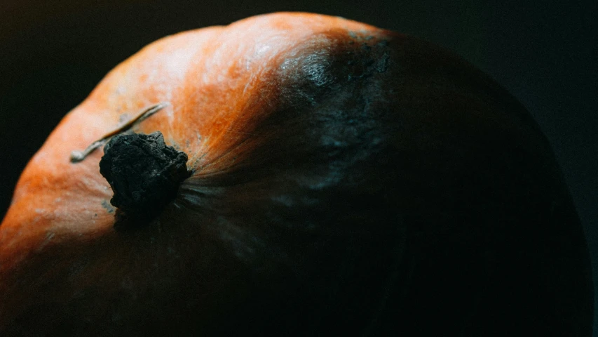 a very large orange with one section cut in half