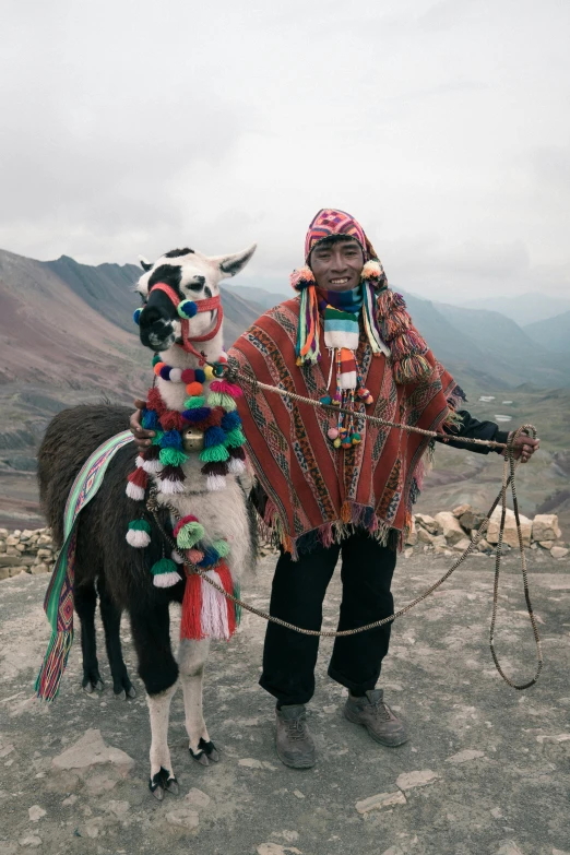 the man is standing by the pony with his leash