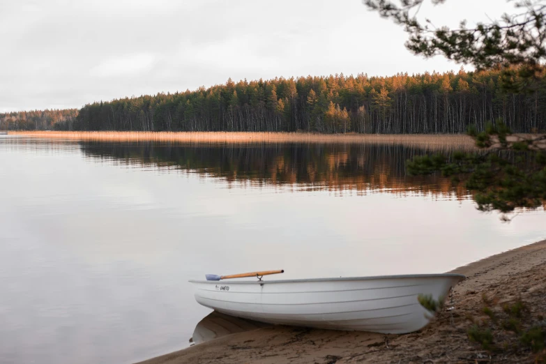 a white canoe on the shore in a wooded area