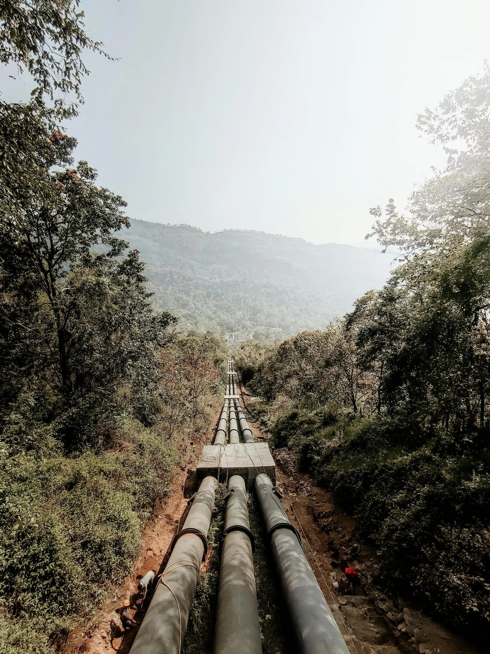 there is a large pipe near a wooded area