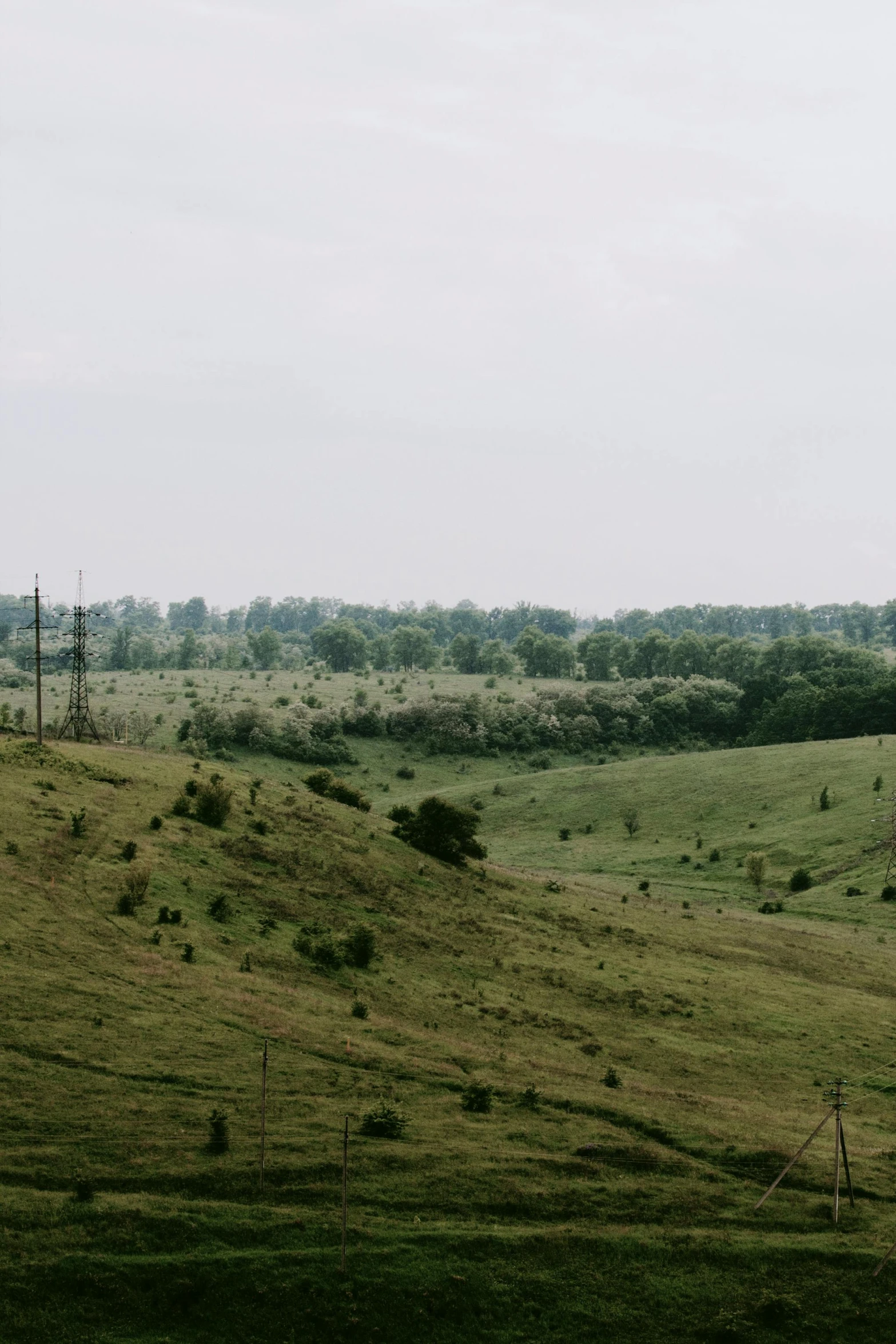 a lone tree stands on the horizon of an empty pasture