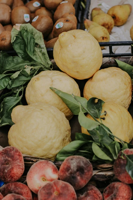 several fresh fruits sitting in the crates for sale