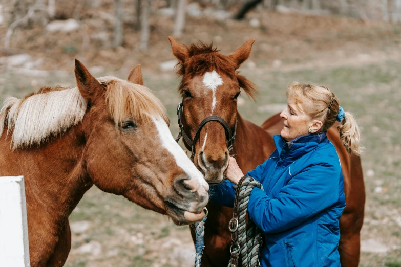 a woman is touching the nose of two horses