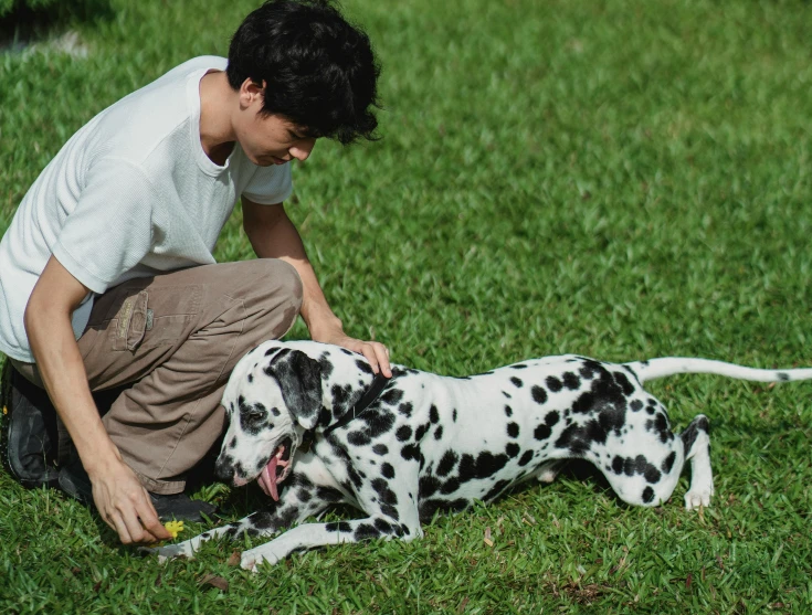 a man kneeling down next to a dog on a lush green field