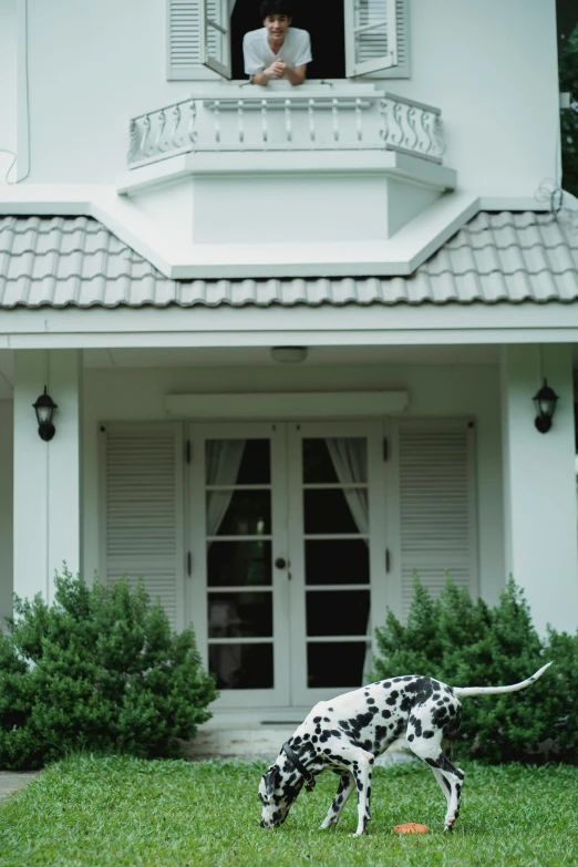 a black and white dalmatian dog in front of a house