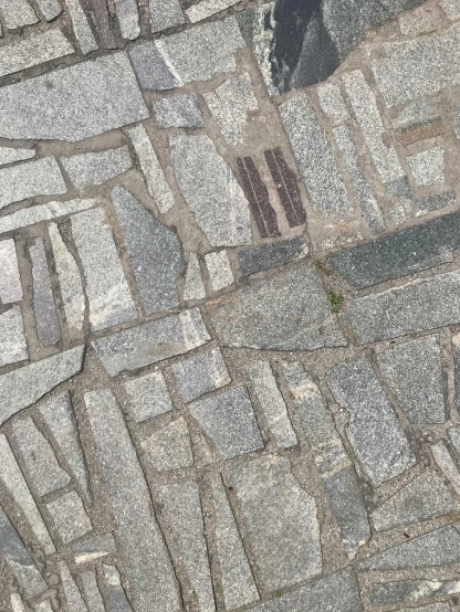an image of close up of pavement