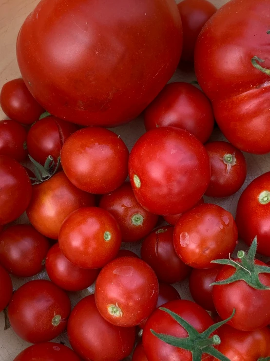 a group of tomatoes sitting on top of each other