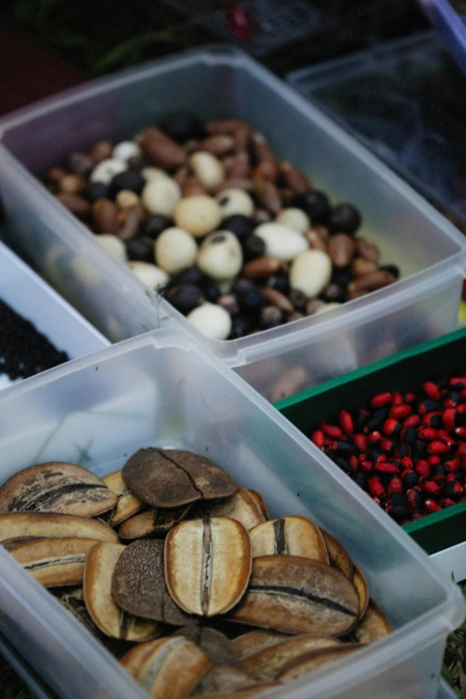 containers of nuts and other food items including berries and beans