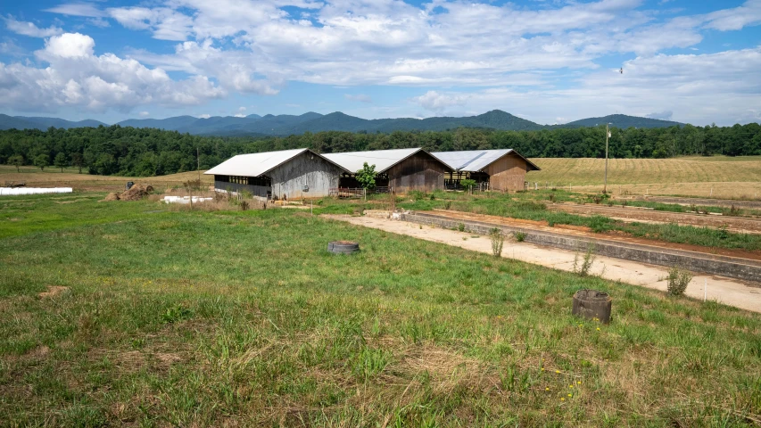 an old abandoned farm with horses and cattle