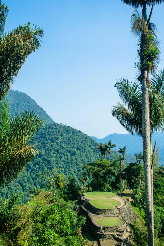 the view over a valley in the middle of jungle