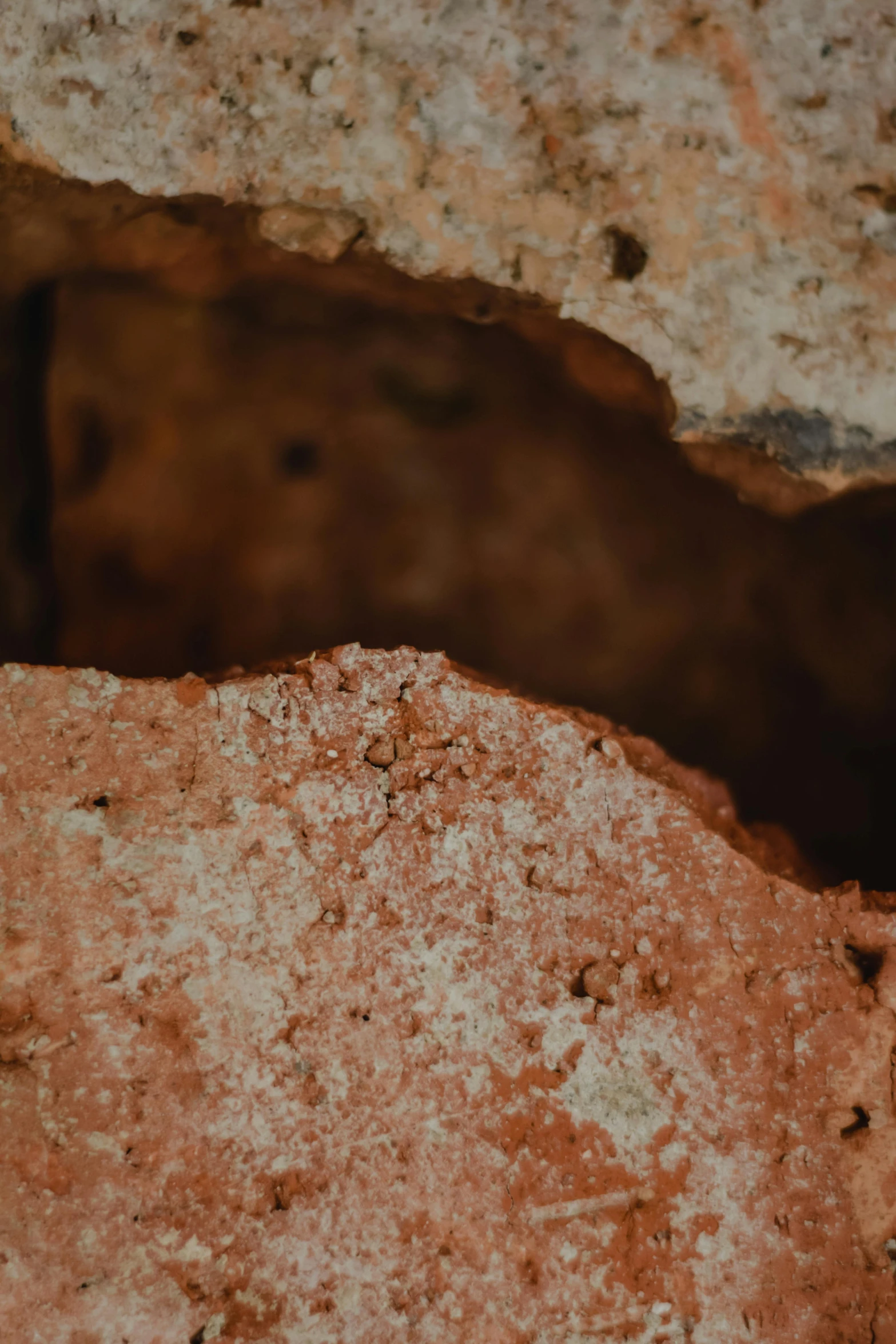 an image of a bird that is standing on a rock